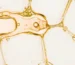 retinal