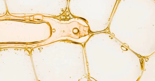 retinal